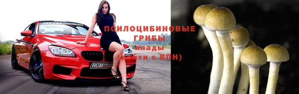 a pvp Осинники