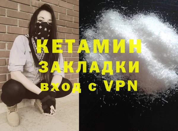 гидра Няндома