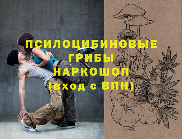 гидропоника Вяземский