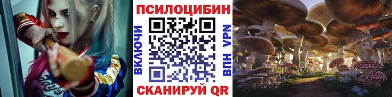 Псилоцибиновые грибы Psilocybe  Полярный 
