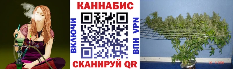 наркотики  OMG   МАРИХУАНА сатива  Полярный 